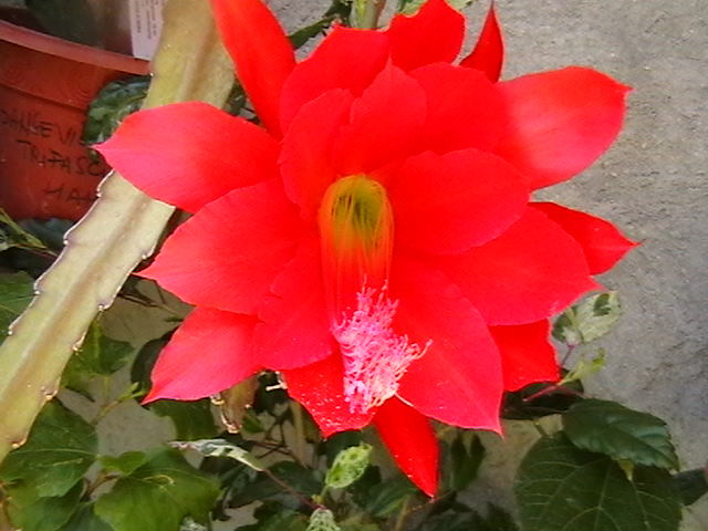 Picture 025