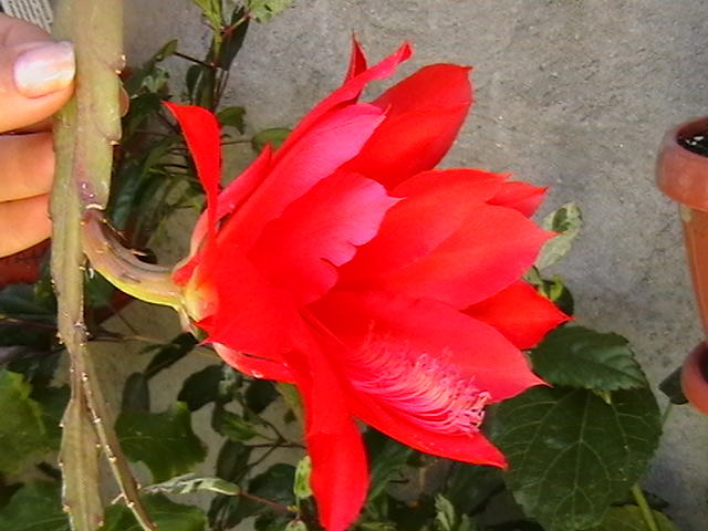 Picture 026