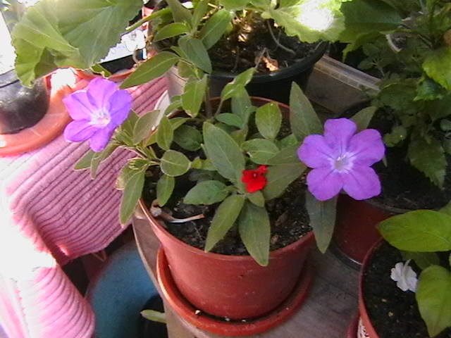 Picture 044