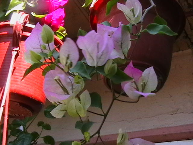 Picture 047