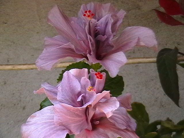 Picture 053
