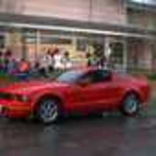 16-wishes-876577l-thumbnail_gallery - 16 Dorinte