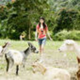 wizards-of-waverly-place-the-movie-443900l-thumbnail_gallery - Magicieni din waverly place