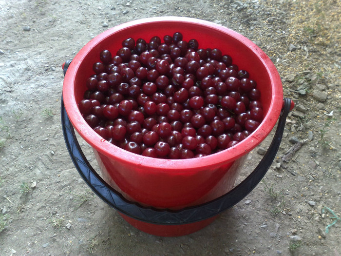 13062012 - recolte 2012