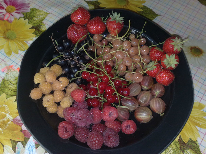 14062012 - recolte 2012