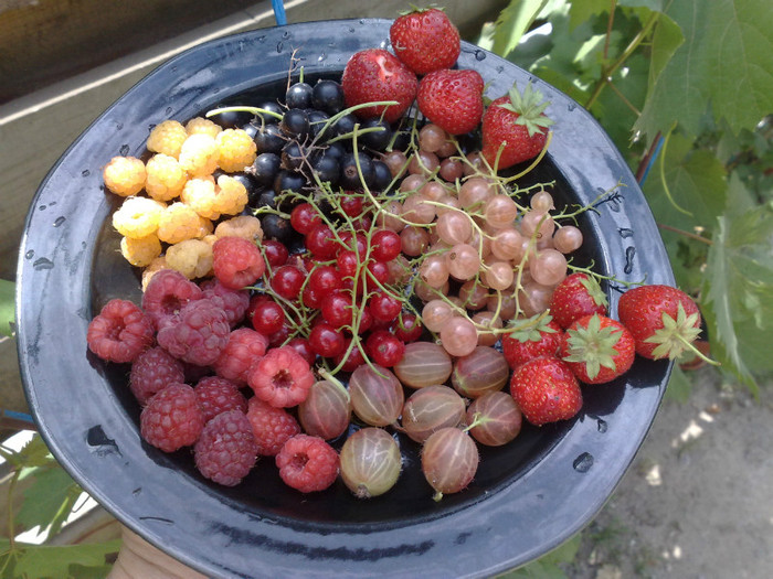 14062012 - recolte 2012