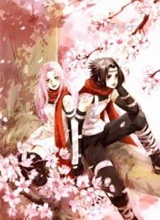 SaSuSaKu2000