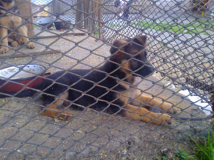 Fénykép1970 - 0 0 0 b 2012 Mai 18