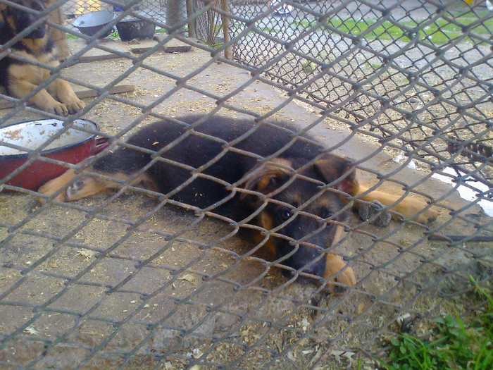 Fénykép1971 - 0 0 0 b 2012 Mai 18