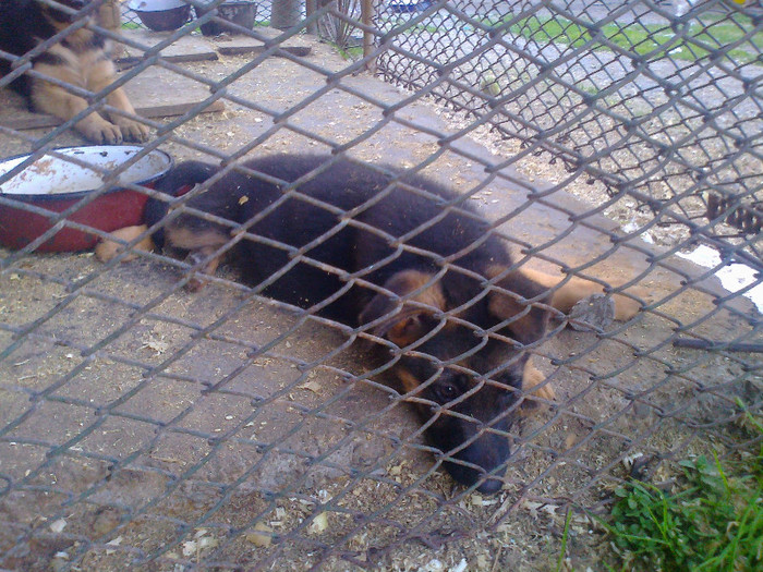 Fénykép1974 - 0 0 0 b 2012 Mai 18
