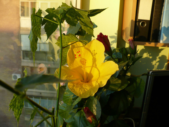 P1390926