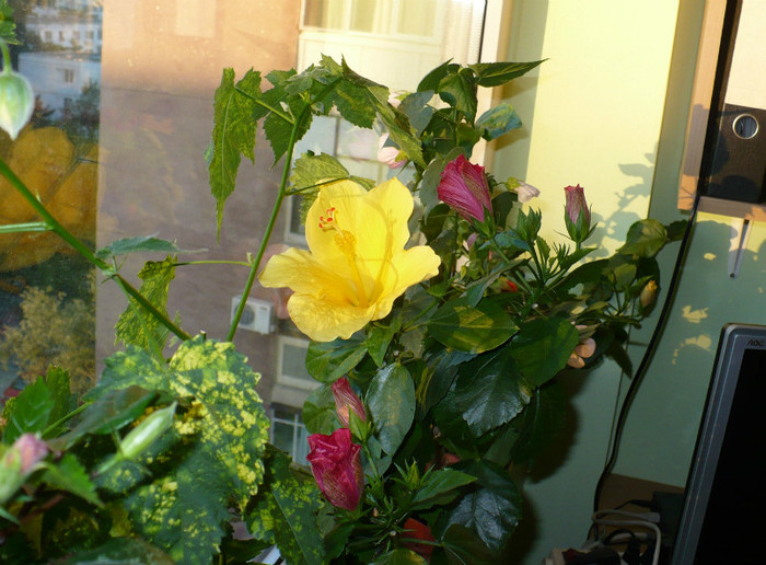 P1390928