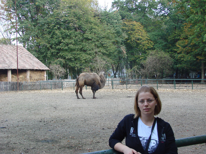 Gradina zoologica Tg Mures - Hai hui