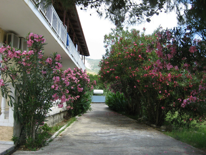 IMG_6897 - Zakynthos 2012