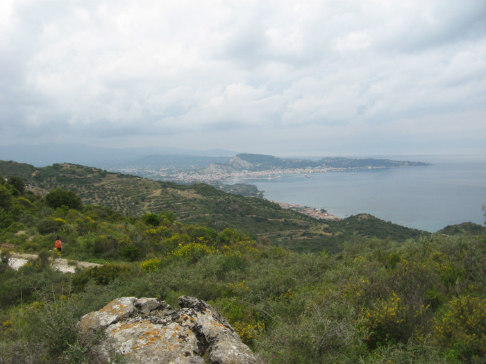 in zarecapitala