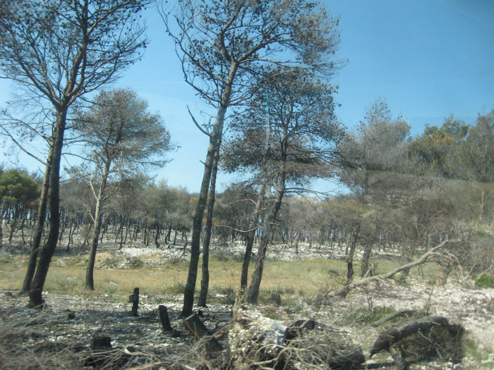 urme ale incendiului din 2011