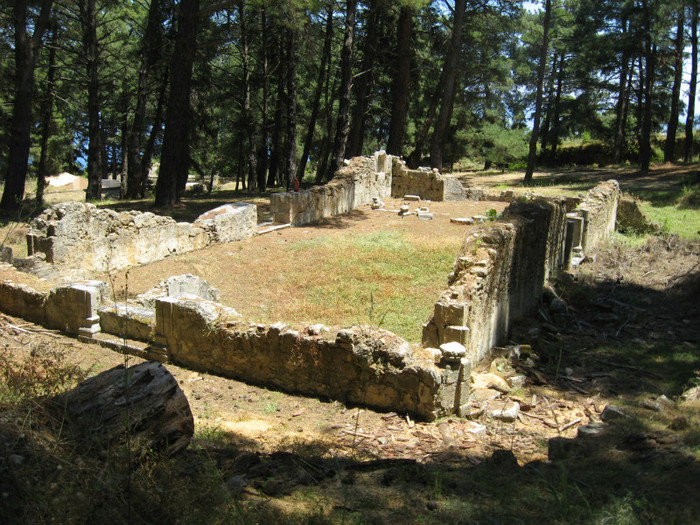 IMG_8411 - Zakynthos 2012