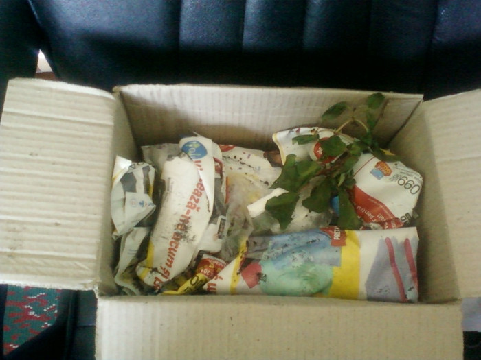 coletul arata bine !