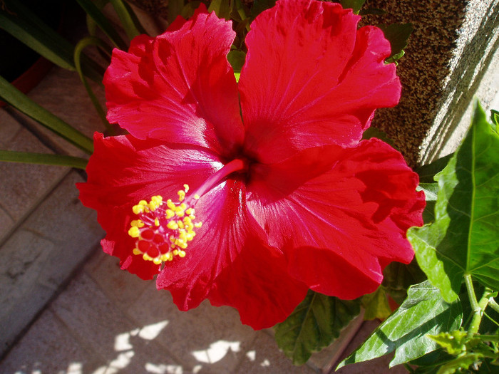 P1010136