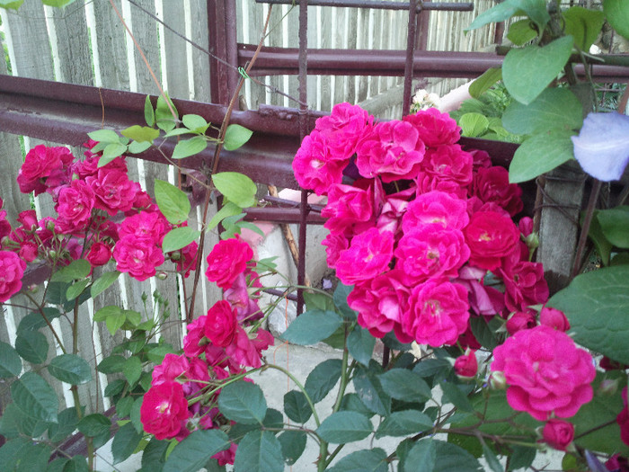Photo003