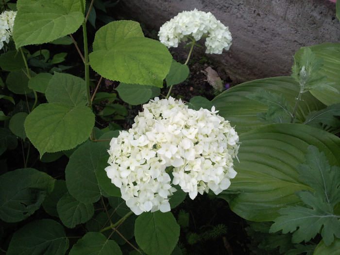 Photo004