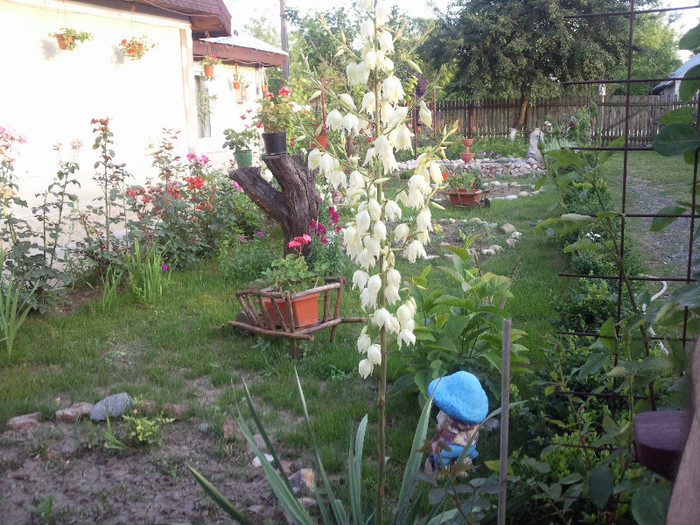 Photo024