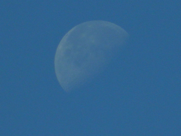 DSCN8470