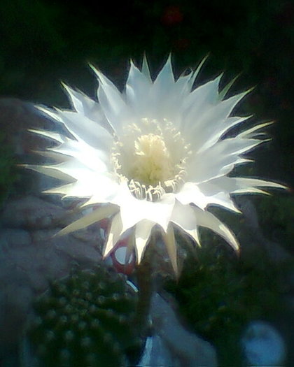 Fotogr.0585