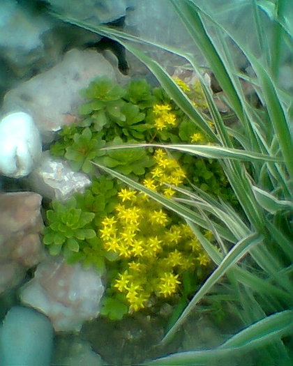 Fotogr.0594