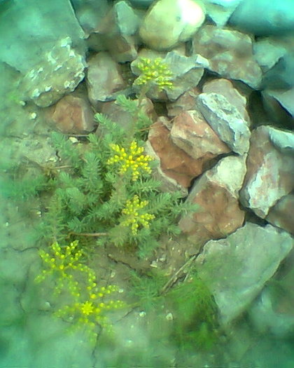 Fotogr.0595