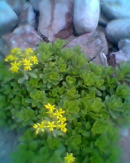 Fotogr.0596