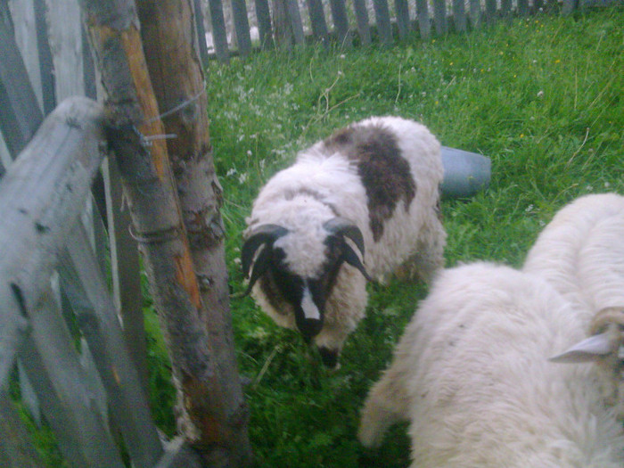 r@LuTzIc@075 - mieii mei 2012