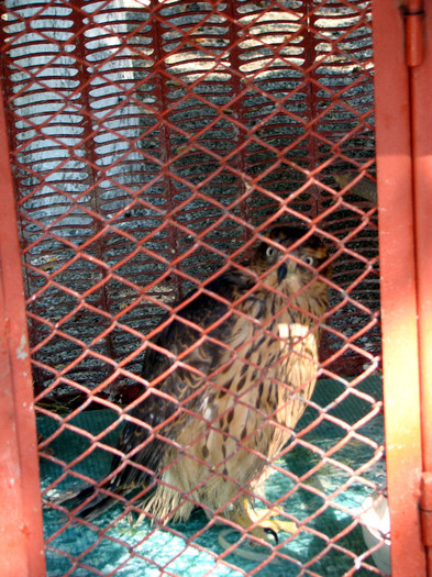 DSC06769_exposure