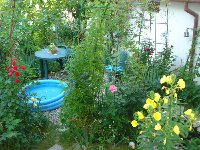 DSC04929 - Gradinuta mea 2012