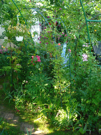 DSC04979 - Gradinuta mea 2012