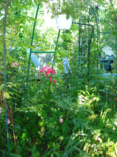 DSC04975 - Gradinuta mea 2012