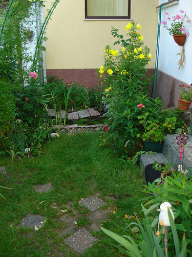 DSC04978 - Gradinuta mea 2012