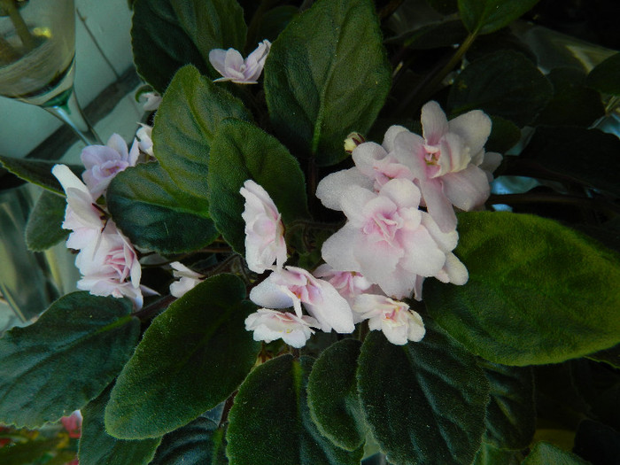 DSCN9042