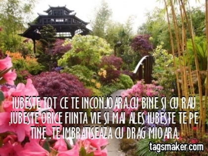  - VIATA IUBIRE SI PRIETENIE  1