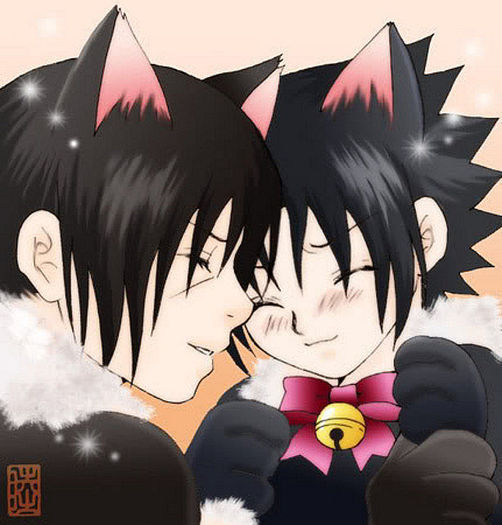 itachi and sasuke - Brothers