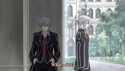 zero and ichiru 1 - Brothers