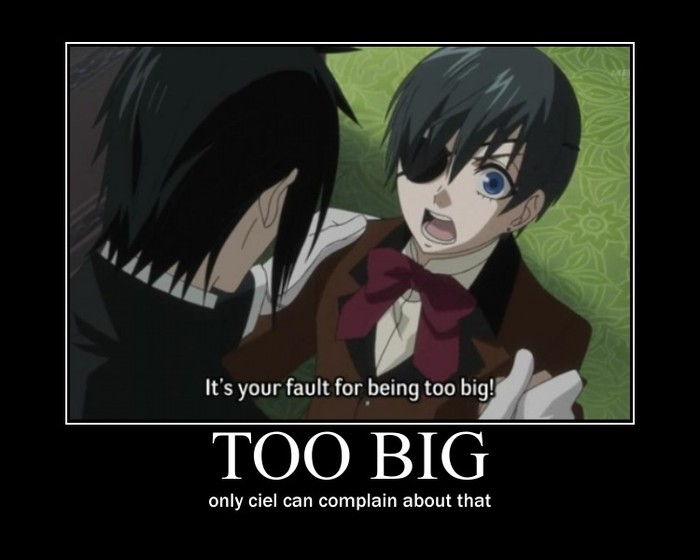 13 - Kuroshitsuji