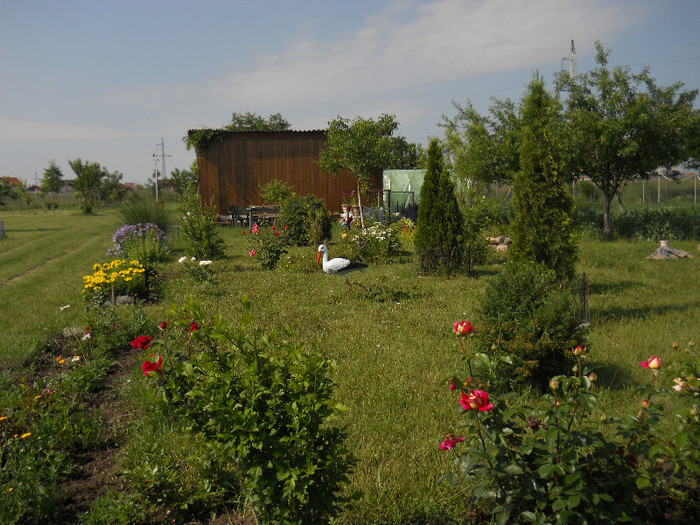 DSCN5428 - Iunie 2012