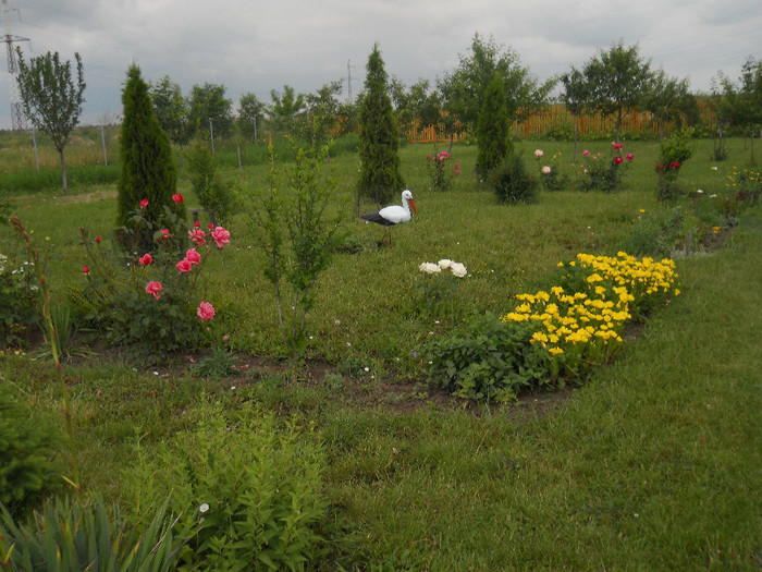 DSCN5469 - Iunie 2012