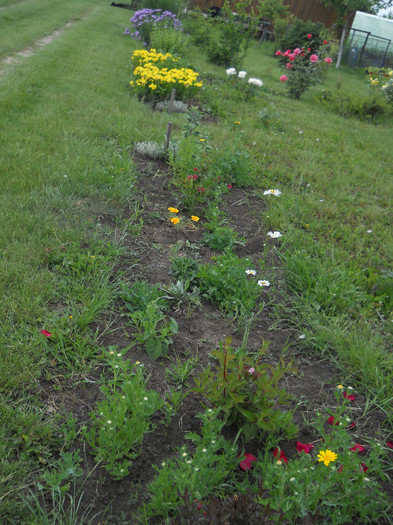 DSCN5474 - Iunie 2012