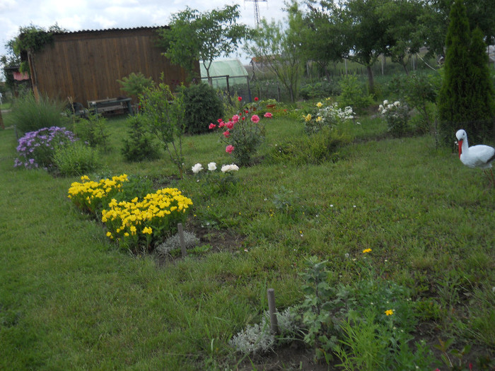 DSCN5475 - Iunie 2012