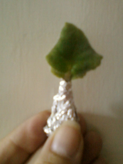 multumesc liuta, surioara !