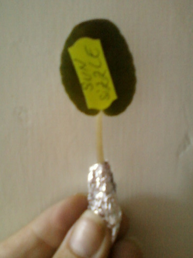 multumesc liuta, surioara !