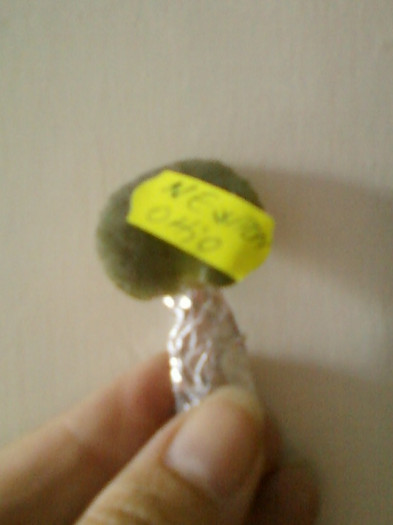 21 iunie 2012-flori 069