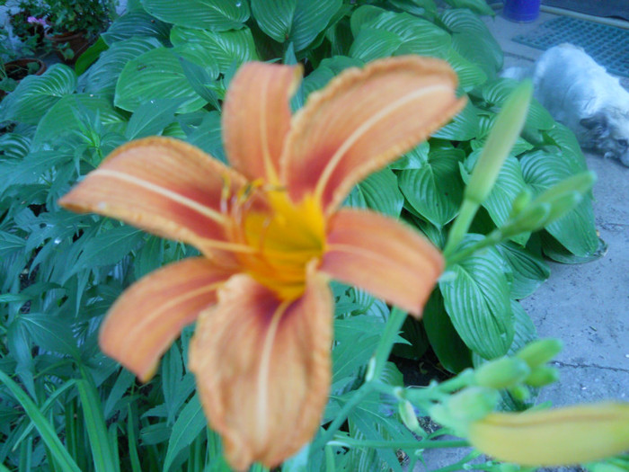 DSCN2886